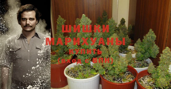 соль курить ск Горно-Алтайск