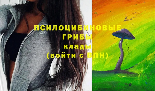 соль курить ск Горно-Алтайск